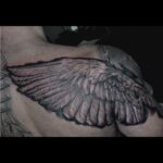 Black and grey large wing realistic