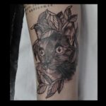 Realistic cat tattoo portrait
