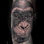 Realistic chimpanzee portrait tattoo