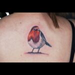 Colour robin tattoo